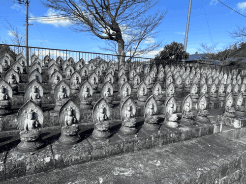 櫟野寺の参道横に並ぶ観音様