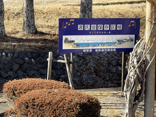 ゲンジボタル保存区域の看板