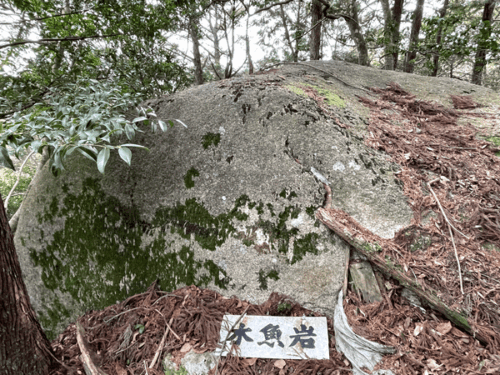 木魚岩の写真