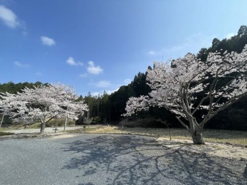 明王寺の駐車場の写真
