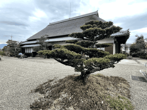 慈眼寺の茅葺き屋根の写真②