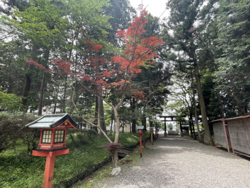 柏木神社の参道の写真